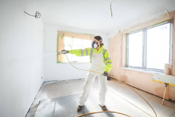 Best Attic Mold Removal  in Evergreen, AL