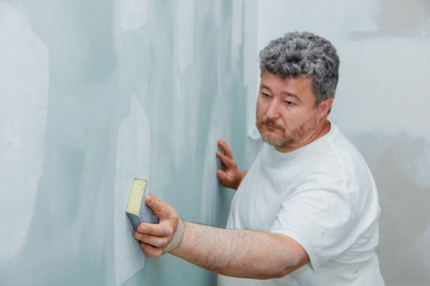 Best Environmental Consulting for Mold Prevention  in Evergreen, AL