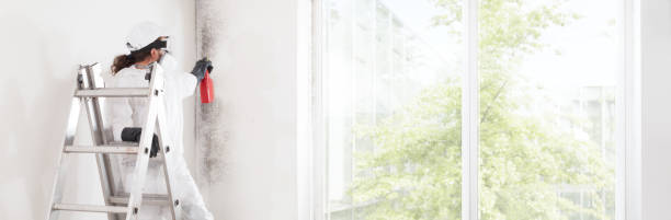 Evergreen, AL Mold Removal Company