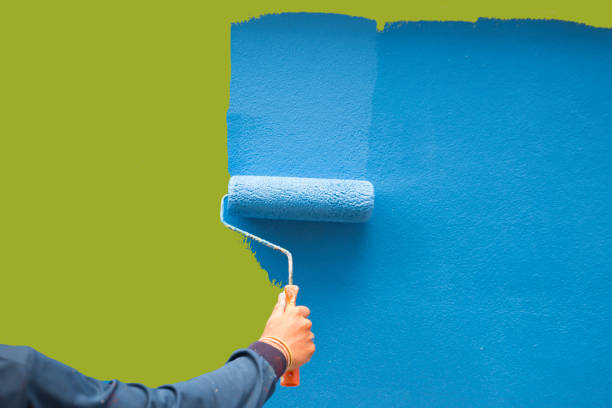Best Mold Damage Restoration  in Evergreen, AL